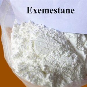 Exemestane White crystalline powder CAS NO.107868-30-4